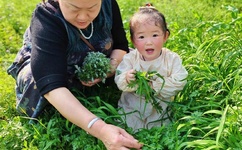 朋友之间换着玩